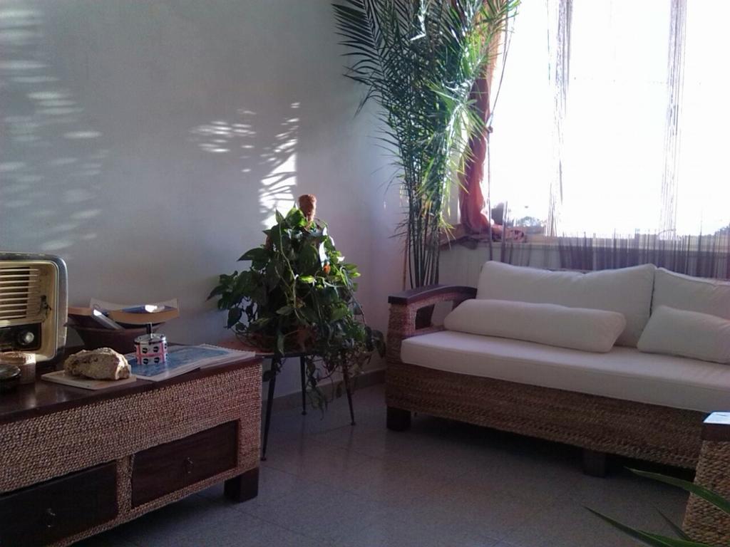 B&B Su Rizolu Sagama Zewnętrze zdjęcie
